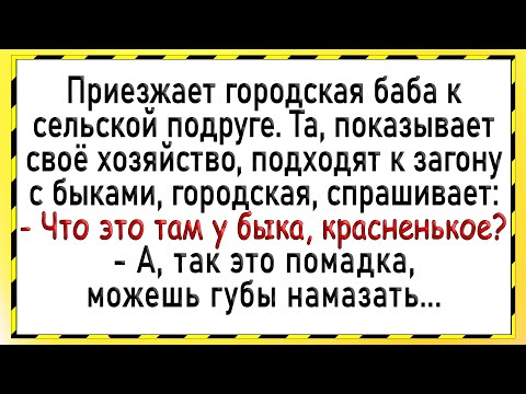 Видео: Как городская у быка взяла! Сборник свежих анекдотов! Юмор!