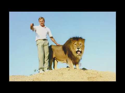 Видео: История первого вожака Лорда! Парк львов "Тайган" #тайган