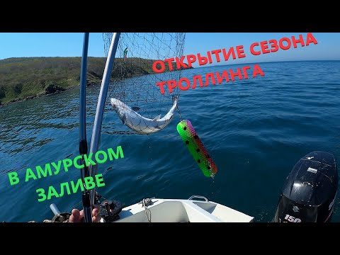Видео: Открытие сезона троллинга  в Амурском заливе