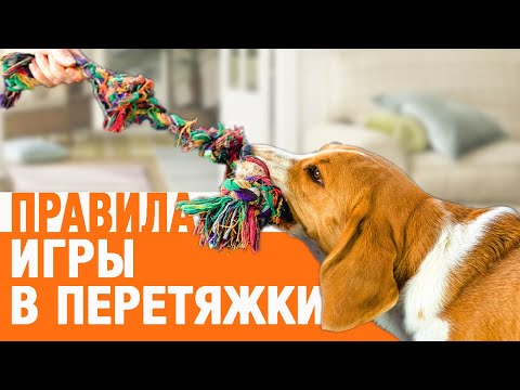 Видео: Как правильно играть в перетяжки. Мифы и правда