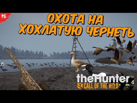 Видео: theHunter Call of the Wild #15 - Охота с триподом на Хохлатую чернеть и гуся - Побережье Ревонтули