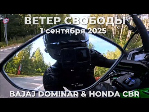 Видео: Все на учебу, а мы на прохват! 1 сентября 2025 -  BAJAJ DOMINAR & HONDA CBR