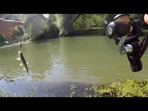Видео: Спининг река Огоста - Земята на Къца Кълве, 16.09.2018