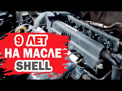 Видео: Как влияет на двигатель масло Shell? Меняем прокладку и устанавливаем теплозащиту.