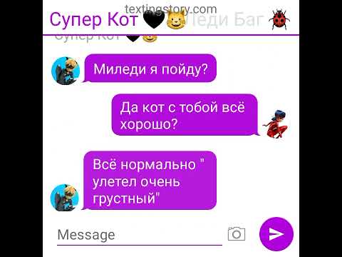 Видео: леди баг и супер кот переписка " багнуар" 1 часть