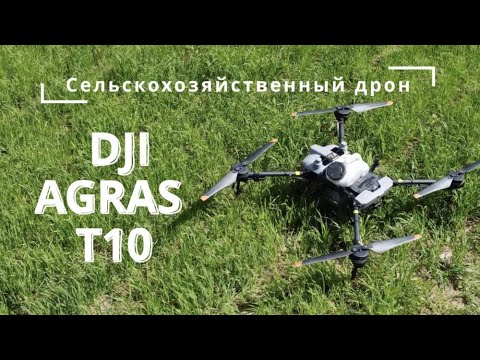 Видео: DJI Agras T10 - Обработка ячменного поля