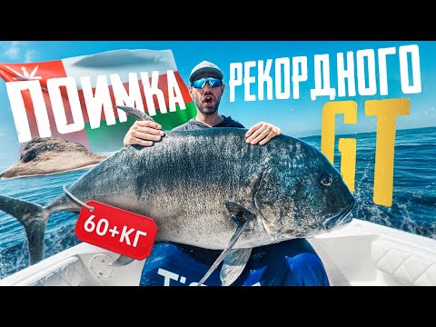 Видео: ЕСТЬ ЛИ РЫБАЛКА В ОМАНЕ ОСЕНЬЮ ? ПОИМКА ТРОФЕЙНОГО GT  | TIGHT LINES VLOG