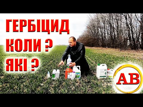 Видео: ПІДБИРАЄМО ГЕРБІЦИД НА ПШЕНИЦЮ, ЩО ТРЕБА ЗНАТЬ, ЩОБ НЕ НАШКОДИТЬ!