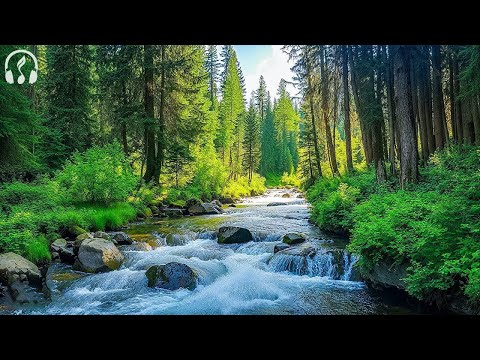 Видео: Восстановление нервной системы 🌿 Расслабляющая музыка помогает снять стресс, музыка для сна