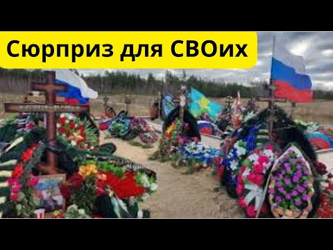 Видео: Что ждет семьи СВОшников