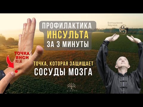 Видео: 💛 Профилактика инсульта за 3 минуты. Точка, которая защищает сосуды мозга