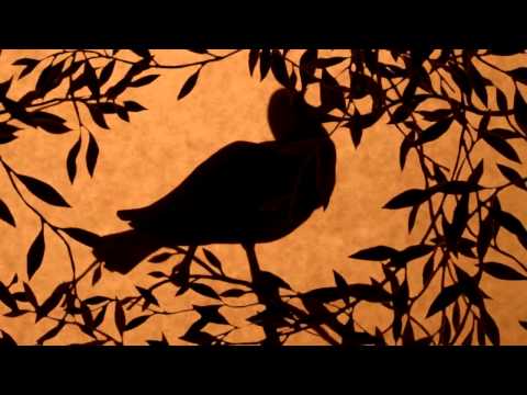 Видео: арефьева Раста