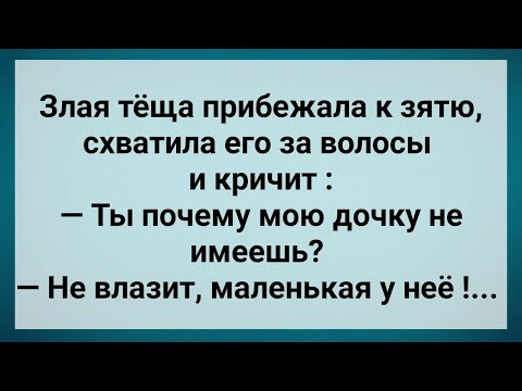 Видео: Злая Теща Схватила Зятя за Волосы! Сборник Свежих Анекдотов! Юмор!.