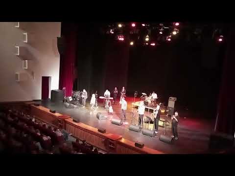 Видео: Пётр Налич. Новосибирск. 26.09.2025. Птицы.