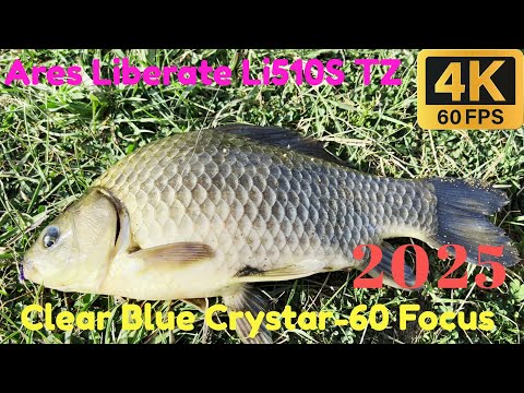 Видео: Огромные Караси на каждом забросе!  Clear Blue Crystar-60 Focus и Nissin Ares Liberate Li510S TZ