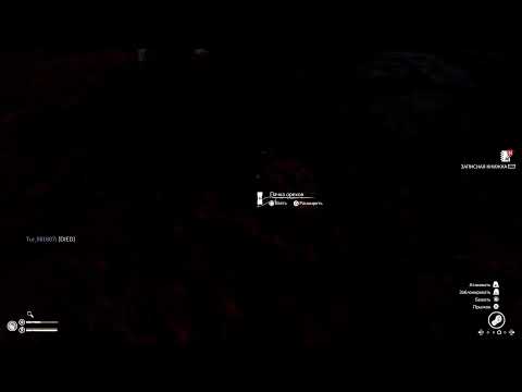 Видео: Green hell Должно быть смешно