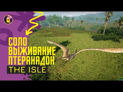 Видео: The Isle Evrima. Соло выживание за птеранадона.
