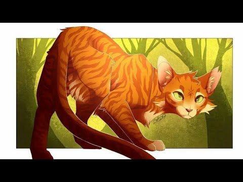 Видео: Коты Воители | Огнезвёзд ~ Imagine Dragons - Боль сломана, но заставила поверить [Заказ]