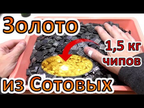 Видео: Добываю Золото из • 1,5 кг чипов от сотовых! Как извлечь, Риски и Недобыток!