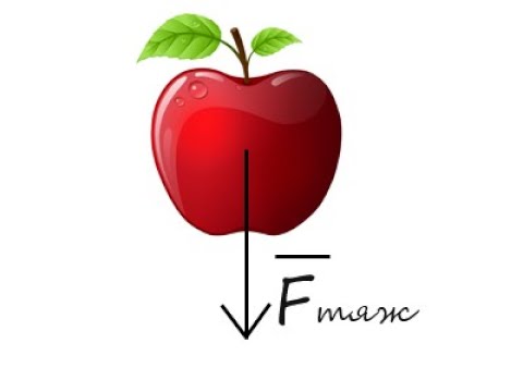 Видео: Сколько  сил действует на тело в общем случае?