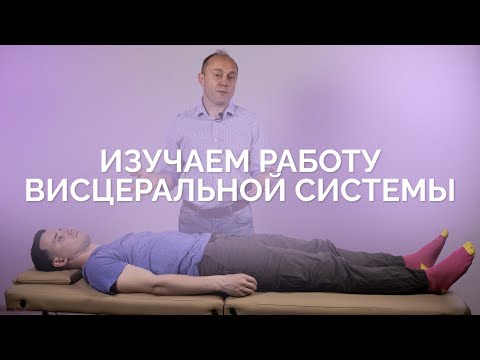 Видео: Во всем виновата висцеральная система!? 😱