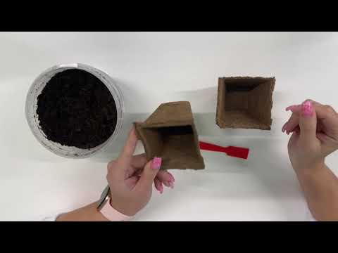 Видео: Мастер-класс "Огород круглый год"