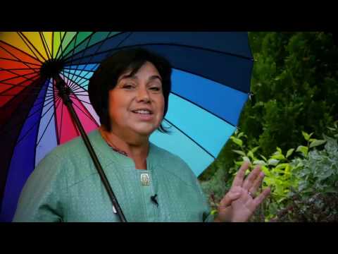 Видео: Сад "Артефакт" - 1, "Сады и люди" - 2016