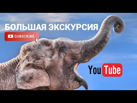 Видео: Пхукет. Сафари тур Као Лак. Встреча со слонами