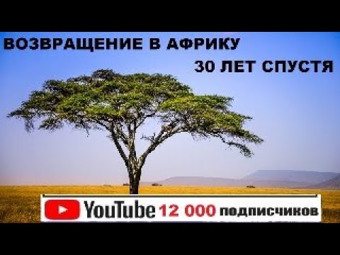 Видео: 12 000 ПОДПИСЧИКОВ. Я ВОЗВРАЩАЮСЬ В АФРИКУ !