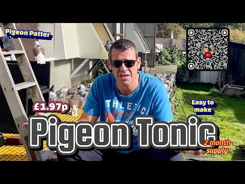 Видео: ТОНИК ДЛЯ ГОЛУБЕЙ - 1,97 фунта стерлингов. Ингредиенты из супермаркета - легко приготовить, много...