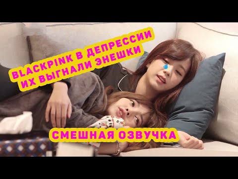 Видео: BLACKpinki уже не келинки смешная озвучка