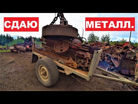Видео: КАК Я ИЩУ МЕТАЛЛ В ЛЕСУ? Сколько удалось накопать МЕТАЛЛОЛОМА? Наломал  ГРУЗДЕЙ! Сдача МЕТАЛЛА.