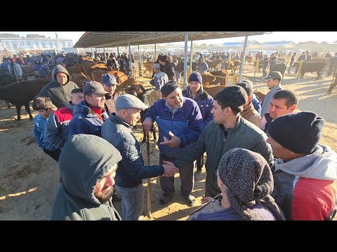 Видео: 5 октября 2025 г. ТУРТКУЛЬ МОЛ БОЗОР НАРХЛАРИ