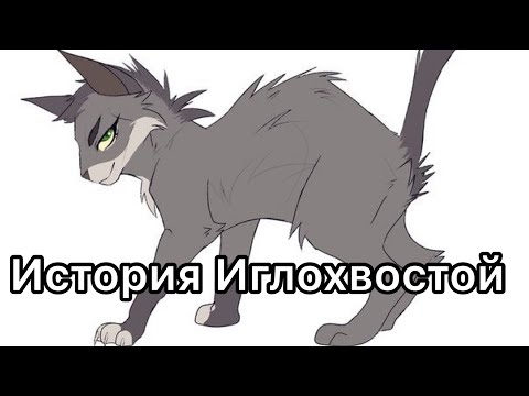 Видео: История Иглохвостой/Коты-воители
