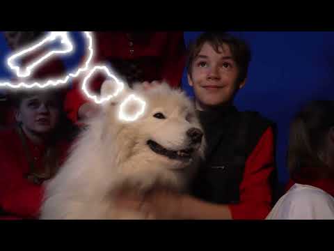 Видео: Небо под тобой.  Шоу-группа "Форсаж". Алексей Ольханский. @my-music