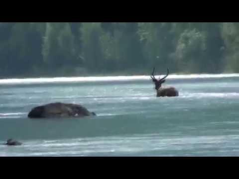 Видео: Сплав по р  Кур в июне 2012 г
