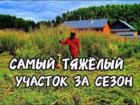 Видео: ПОКОС ЗАРОСШЕГО УЧАСТКА ЗАРАБОТОК НА ПОКОСЕ #stihl #покостравы #work