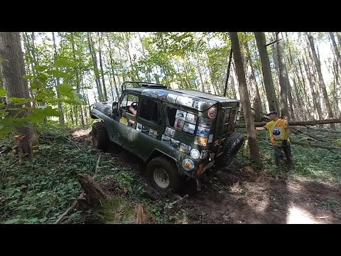 Видео: Покатушка "Дубенские дебри"! Много оврагов, мало грязи и море грибов! #offroad #4x4 #automobile #4wd