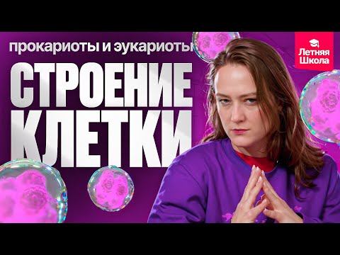 Видео: 1. Строение клетки. Прокариоты и эукариоты | Летняя школа | ЕГЭ-2026 по биологии
