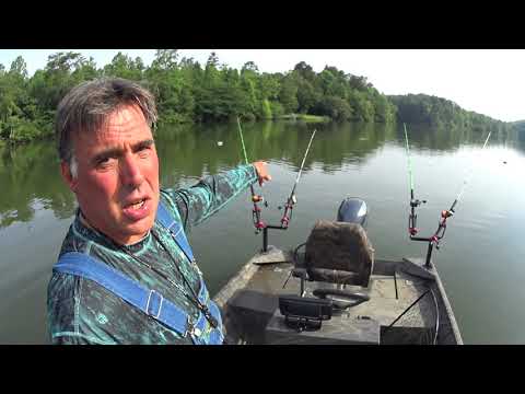 Видео: ЛОВЛЯ СОМА на водохранилище Уоттс-Бар