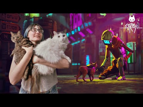 Видео: TarelkO проходит Stray и умиляется с котика 24 минуты