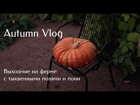 Видео: УЮТНЫЙ ОСЕННИЙ ВЛОГ с фермы 🥨 Тыквы, пони, домик на ферме, чтение у камина.