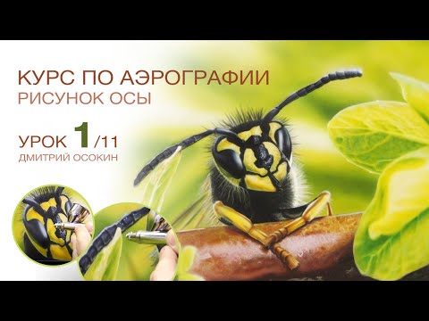 Видео: Рисунок осы. Ч 1/11. Курс по аэрографии. Дмитрий Осокин - уроки. Аэрография.