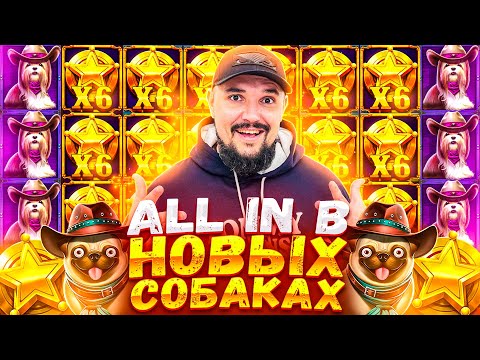 Видео: Бородач Занёс Мега Занос All In The Dog House Dog or Alive Заносы Недели Занос X500