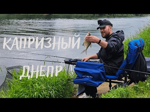 Видео: Капризный Днепр, Фидер в июне, Ловля подлещика на реке