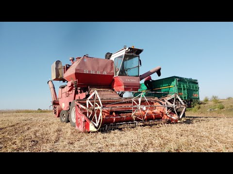 Видео: Нива Ск-5м1 на жнивах сої 2024 🇺🇦