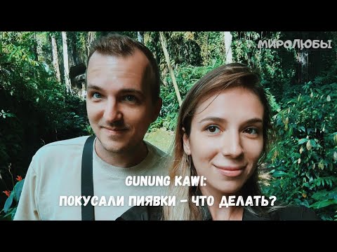 Видео: БАЛИ | Магия Убуда, водопад и… пиявки?! | ВЛОГ