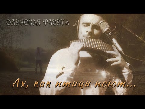 Видео: Одинокая Флейта. Ах, как птицы поют.