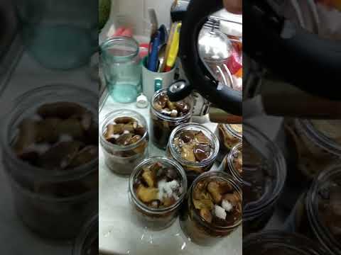 Видео: польские грибы в автоклаве