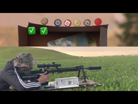 Видео: Леший-2 стрельба на 100м